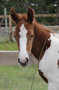 All Photos on Card 752